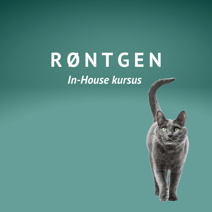Røntgenkursus in house